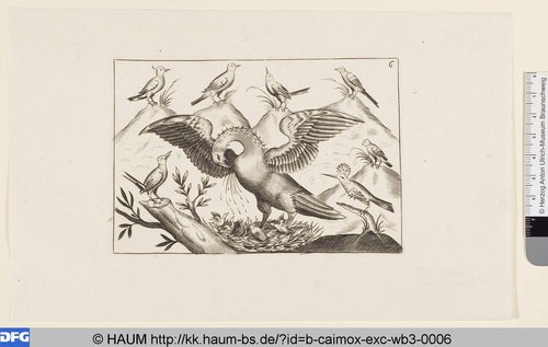http://diglib.hab.de/varia/haum/b-caimox-exc-wb3-0006/max/000001.jpg (Herzog Anton Ulrich-Museum RR-F)