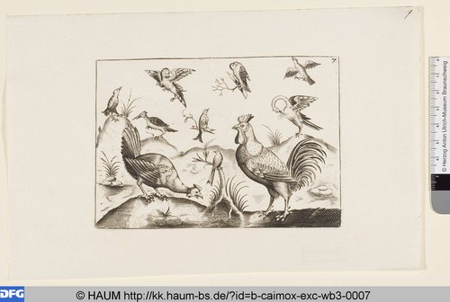 http://diglib.hab.de/varia/haum/b-caimox-exc-wb3-0007/max/000001.jpg (Herzog Anton Ulrich-Museum RR-F)