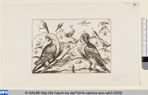 http://diglib.hab.de/varia/haum/b-caimox-exc-wb3-0009/max/000001.jpg (Herzog Anton Ulrich-Museum RR-F)