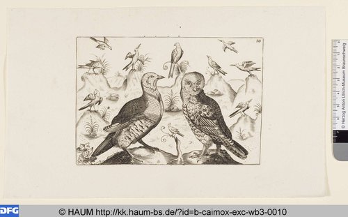 http://diglib.hab.de/varia/haum/b-caimox-exc-wb3-0010/max/000001.jpg (Herzog Anton Ulrich-Museum RR-F)