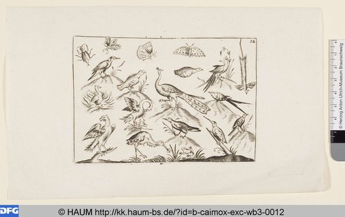 http://diglib.hab.de/varia/haum/b-caimox-exc-wb3-0012/max/000001.jpg (Herzog Anton Ulrich-Museum RR-F)