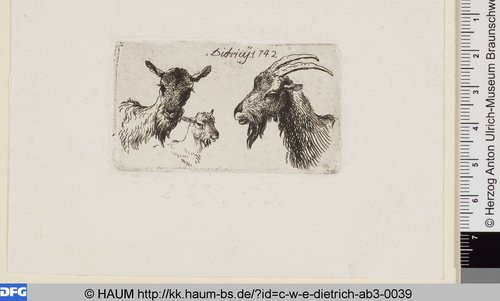 http://diglib.hab.de/varia/haum/c-w-e-dietrich-ab3-0039/max/000001.jpg (Herzog Anton Ulrich-Museum RR-F)