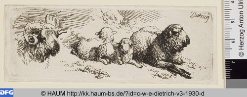 http://diglib.hab.de/varia/haum/c-w-e-dietrich-v3-1930-d/max/000001.jpg (Herzog Anton Ulrich-Museum RR-F)