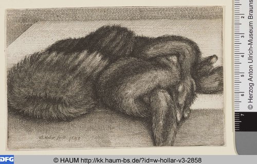 http://diglib.hab.de/varia/haum/w-hollar-v3-2858/max/000001.jpg (Herzog Anton Ulrich-Museum RR-F)