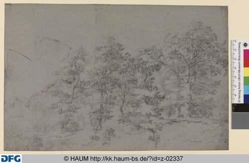 http://diglib.hab.de/varia/haumzeichnungen/z-02337/max/000001.jpg (Herzog Anton Ulrich-Museum RR-F)