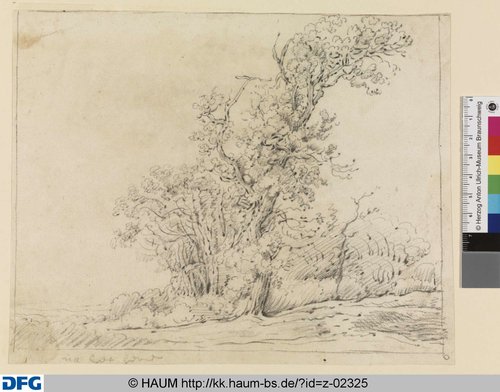 http://diglib.hab.de/varia/haumzeichnungen/z-02325/max/000001.jpg (Herzog Anton Ulrich-Museum RR-F)