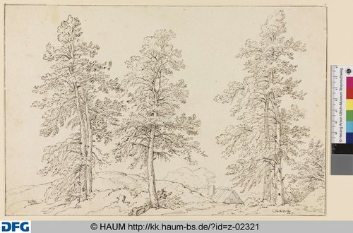 http://diglib.hab.de/varia/haumzeichnungen/z-02321/max/000001.jpg (Herzog Anton Ulrich-Museum RR-F)