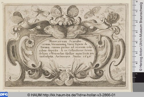 http://diglib.hab.de/varia/haum/w-hollar-v3-2866-01/max/000001.jpg (Herzog Anton Ulrich-Museum RR-F)