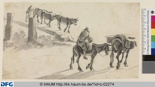 http://diglib.hab.de/varia/haumzeichnungen/z-02274/max/000001.jpg (Herzog Anton Ulrich-Museum RR-F)