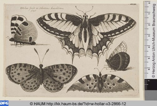 http://diglib.hab.de/varia/haum/w-hollar-v3-2866-12/max/000001.jpg (Herzog Anton Ulrich-Museum RR-F)