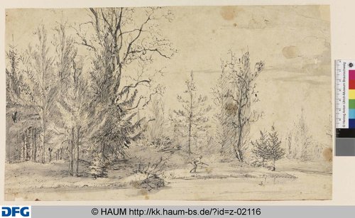 http://diglib.hab.de/varia/haumzeichnungen/z-02116/max/000001.jpg (Herzog Anton Ulrich-Museum RR-F)