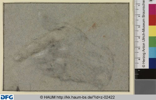 http://diglib.hab.de/varia/haumzeichnungen/z-02422/max/000001.jpg (Herzog Anton Ulrich-Museum RR-F)