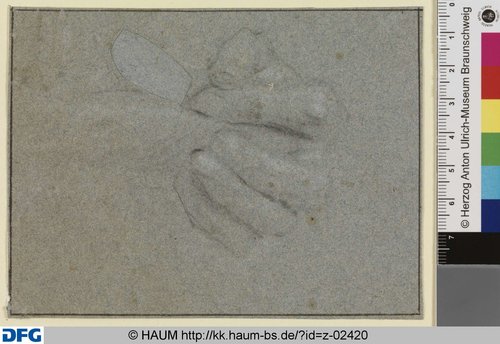 http://diglib.hab.de/varia/haumzeichnungen/z-02420/max/000001.jpg (Herzog Anton Ulrich-Museum RR-F)
