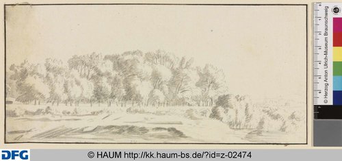 http://diglib.hab.de/varia/haumzeichnungen/z-02474/max/000001.jpg (Herzog Anton Ulrich-Museum RR-F)