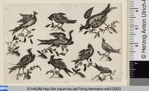 http://diglib.hab.de/varia/haum/g-hermann-wb3-0003/max/000001.jpg (Herzog Anton Ulrich-Museum RR-F)