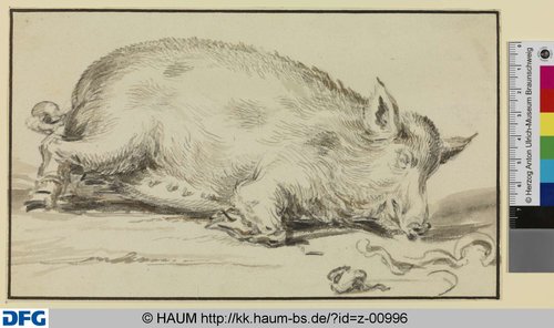 http://diglib.hab.de/varia/haumzeichnungen/z-00996/max/000001.jpg (Herzog Anton Ulrich-Museum RR-F)