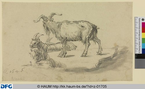 http://diglib.hab.de/varia/haumzeichnungen/z-01705/max/000001.jpg (Herzog Anton Ulrich-Museum RR-F)