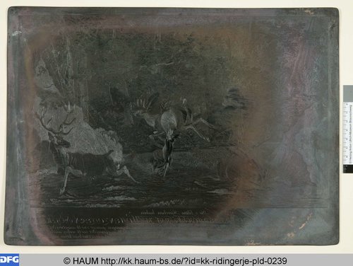 http://diglib.hab.de/varia/haum/kk-ridingerje-pld-0239/max/000001.jpg (Herzog Anton Ulrich-Museum RR-F)