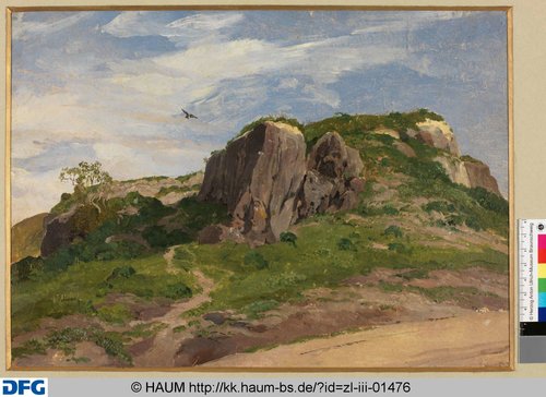 http://diglib.hab.de/varia/haumzeichnungen/zl-iii-01476/max/000001.jpg (Herzog Anton Ulrich-Museum RR-F)