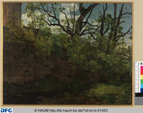 http://diglib.hab.de/varia/haumzeichnungen/zl-iii-01453/max/000001.jpg (Herzog Anton Ulrich-Museum RR-F)