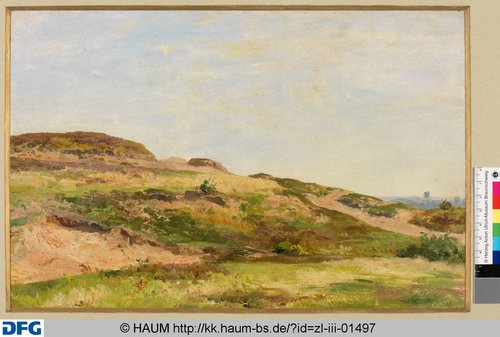 http://diglib.hab.de/varia/haumzeichnungen/zl-iii-01497/max/000001.jpg (Herzog Anton Ulrich-Museum RR-F)