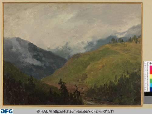 http://diglib.hab.de/varia/haumzeichnungen/zl-iii-01511/max/000001.jpg (Herzog Anton Ulrich-Museum RR-F)