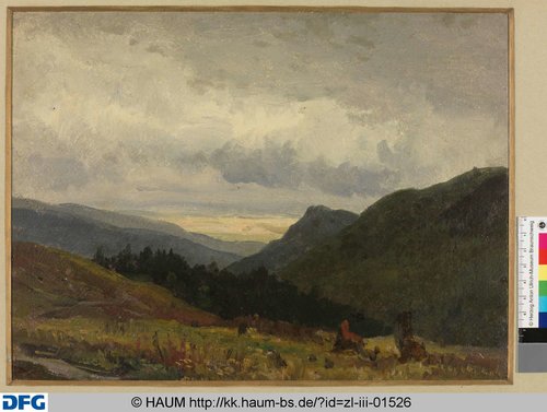 http://diglib.hab.de/varia/haumzeichnungen/zl-iii-01526/max/000001.jpg (Herzog Anton Ulrich-Museum RR-F)