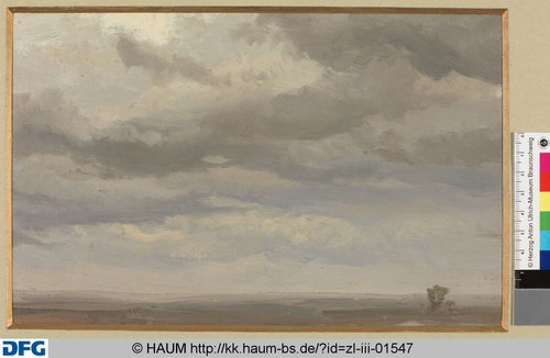 http://diglib.hab.de/varia/haumzeichnungen/zl-iii-01547/max/000001.jpg (Herzog Anton Ulrich-Museum RR-F)