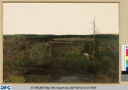 http://diglib.hab.de/varia/haumzeichnungen/zl-iii-01454/max/000001.jpg (Herzog Anton Ulrich-Museum RR-F)