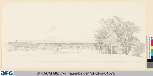 http://diglib.hab.de/varia/haumzeichnungen/zl-iii-01575/max/000001.jpg (Herzog Anton Ulrich-Museum RR-F)