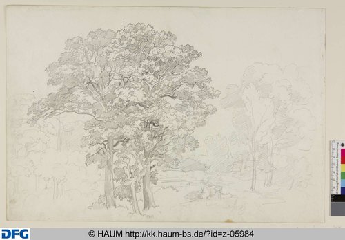 http://diglib.hab.de/varia/haumzeichnungen/z-05984/max/000001.jpg (Herzog Anton Ulrich-Museum RR-F)
