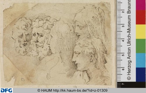 http://diglib.hab.de/varia/haumzeichnungen/z-01309/max/000001.jpg (Herzog Anton Ulrich-Museum RR-F)