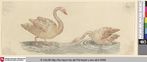 http://diglib.hab.de/varia/haum/teyler-j-exc-ab3-0066/max/000001.jpg (Herzog Anton Ulrich-Museum RR-F)