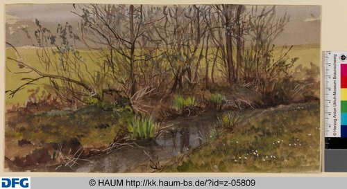 http://diglib.hab.de/varia/haumzeichnungen/z-05809/max/000001.jpg (Herzog Anton Ulrich-Museum RR-F)