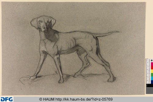http://diglib.hab.de/varia/haumzeichnungen/z-05769/max/000001.jpg (Herzog Anton Ulrich-Museum RR-F)