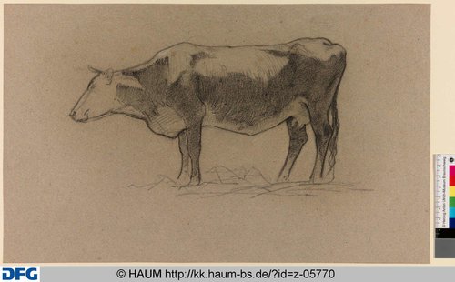 http://diglib.hab.de/varia/haumzeichnungen/z-05770/max/000001.jpg (Herzog Anton Ulrich-Museum RR-F)