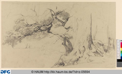 http://diglib.hab.de/varia/haumzeichnungen/z-05694/max/000001.jpg (Herzog Anton Ulrich-Museum RR-F)