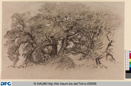 http://diglib.hab.de/varia/haumzeichnungen/z-05698/max/000001.jpg (Herzog Anton Ulrich-Museum RR-F)