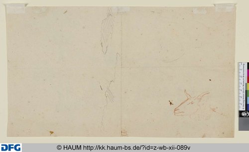 http://diglib.hab.de/varia/haumzeichnungen/z-wb-xii-089v/max/000001.jpg (Herzog Anton Ulrich-Museum RR-F)