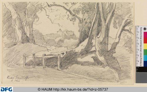 http://diglib.hab.de/varia/haumzeichnungen/z-05737/max/000001.jpg (Herzog Anton Ulrich-Museum RR-F)