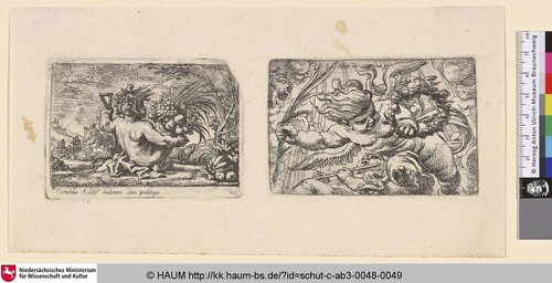 http://diglib.hab.de/varia/haum/schut-c-ab3-0048-0049/max/000001.jpg (Herzog Anton Ulrich-Museum RR-F)