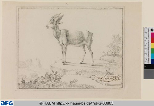 http://diglib.hab.de/varia/haumzeichnungen/z-00865/max/000001.jpg (Herzog Anton Ulrich-Museum RR-F)