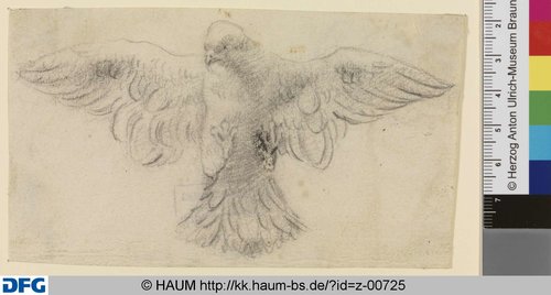 http://diglib.hab.de/varia/haumzeichnungen/z-00725/max/000001.jpg (Herzog Anton Ulrich-Museum RR-F)
