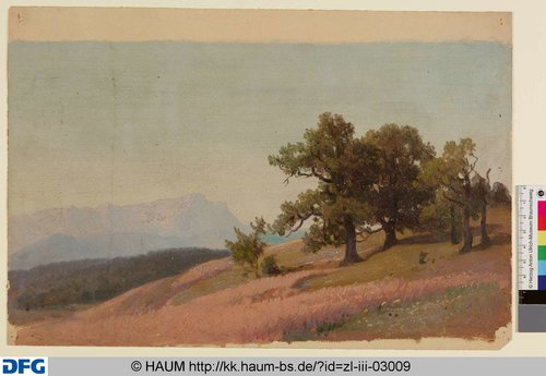 http://diglib.hab.de/varia/haumzeichnungen/zl-iii-03009/max/000001.jpg (Herzog Anton Ulrich-Museum RR-F)