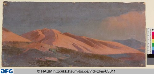 http://diglib.hab.de/varia/haumzeichnungen/zl-iii-03011/max/000001.jpg (Herzog Anton Ulrich-Museum RR-F)