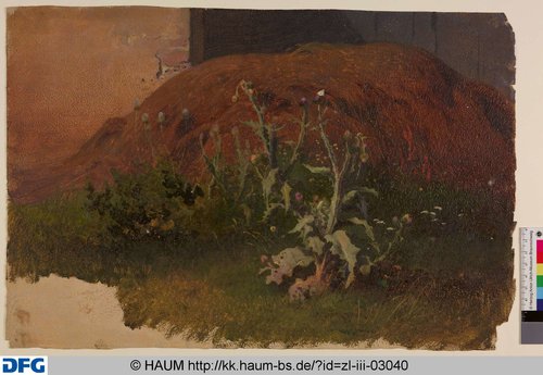 http://diglib.hab.de/varia/haumzeichnungen/zl-iii-03040/max/000001.jpg (Herzog Anton Ulrich-Museum RR-F)