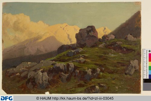 http://diglib.hab.de/varia/haumzeichnungen/zl-iii-03045/max/000001.jpg (Herzog Anton Ulrich-Museum RR-F)
