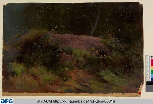 http://diglib.hab.de/varia/haumzeichnungen/zl-iii-03016/max/000001.jpg (Herzog Anton Ulrich-Museum RR-F)