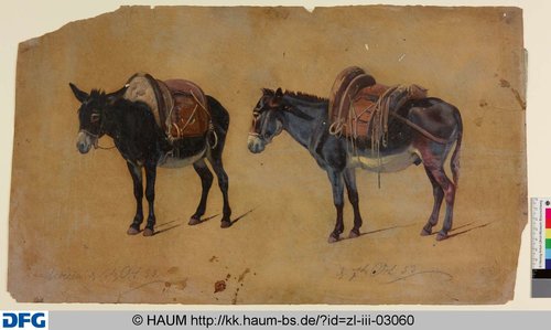 http://diglib.hab.de/varia/haumzeichnungen/zl-iii-03060/max/000001.jpg (Herzog Anton Ulrich-Museum RR-F)