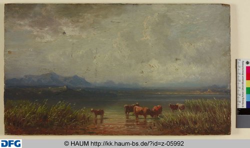 http://diglib.hab.de/varia/haumzeichnungen/z-05992/max/000001.jpg (Herzog Anton Ulrich-Museum RR-F)
